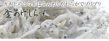 いかなごくぎ煮