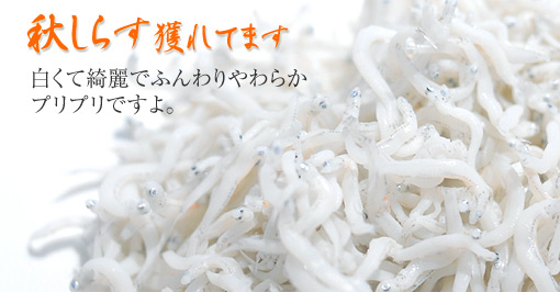 餹